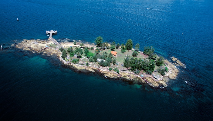 Shark Island