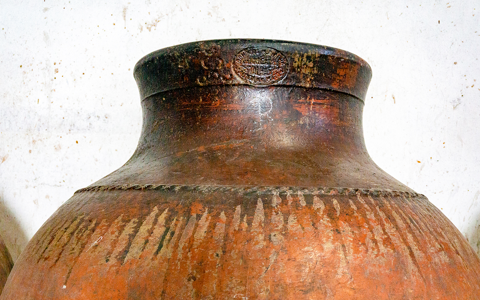 Louvre Abu Dhabi biglietti