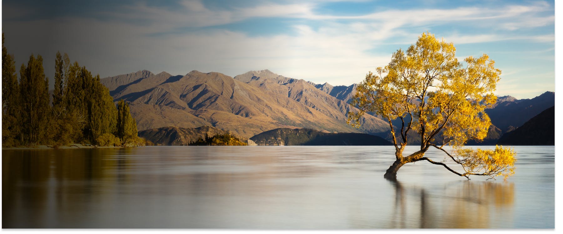 Tree in Lake Wanaka with Southern Alps in background, Wanaka, New Zealand.