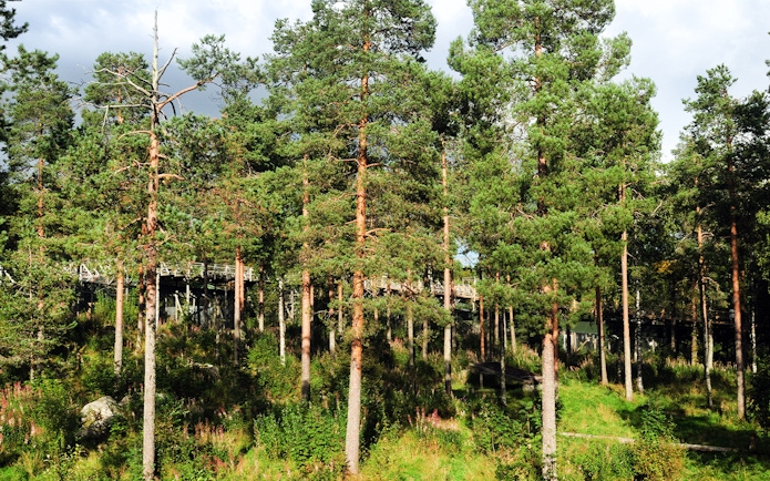Boardwalk through forest at Ranua Zoo, Finland.