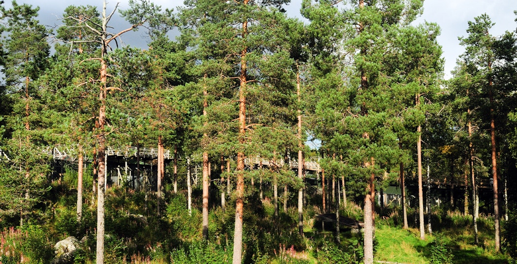 Boardwalk through forest at Ranua Zoo, Finland.