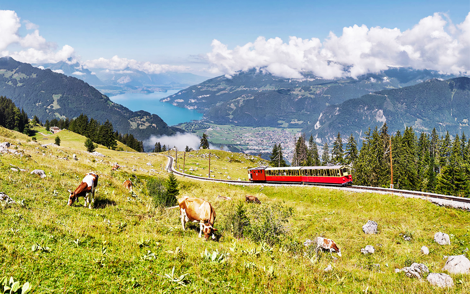 Book Schynige Platte Tickets 2023 | Round-Trip Train