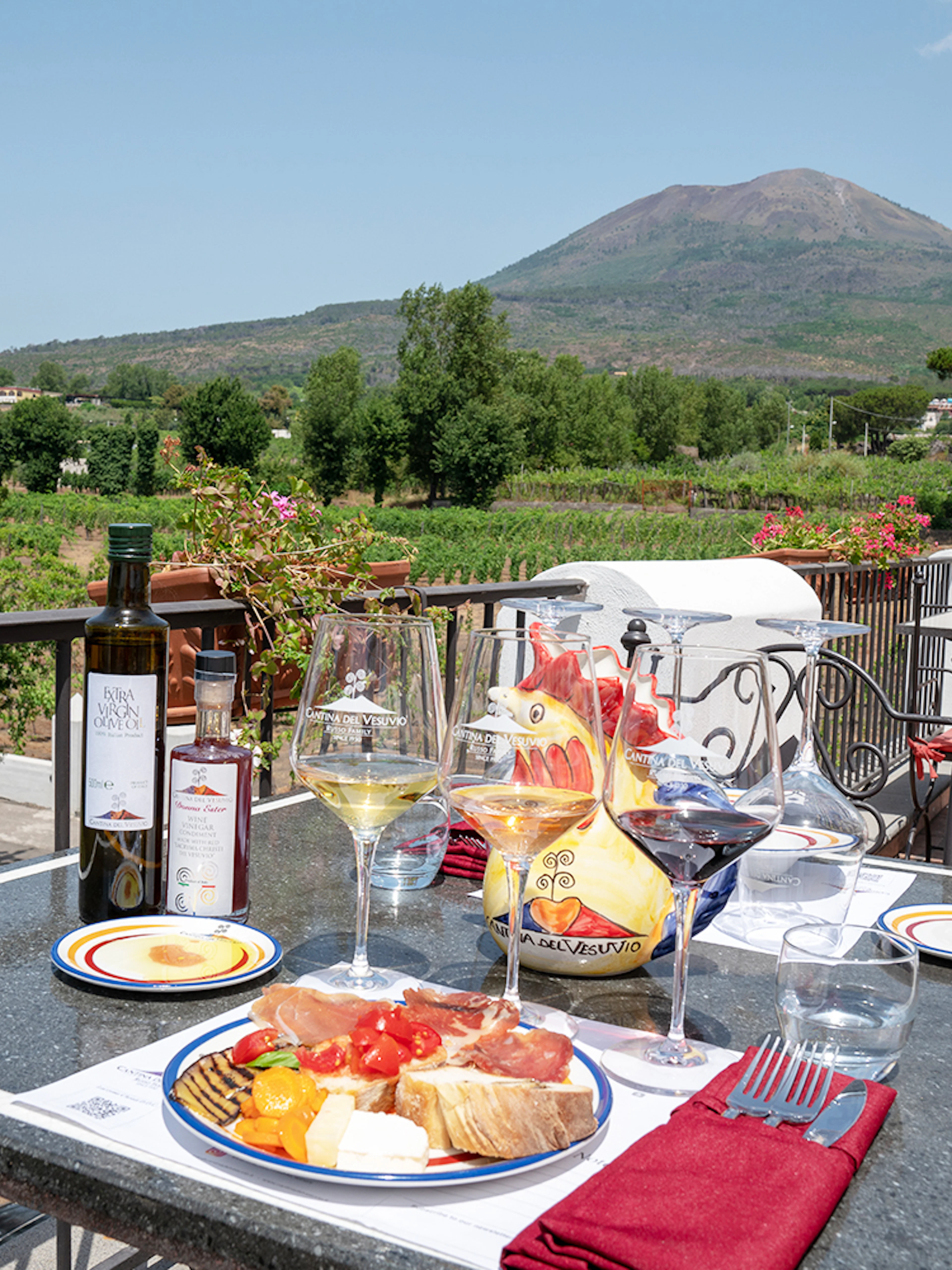 Wine tasting and lunch on a terrace overlooking vineyards and Mount Vesuvius in Naples.