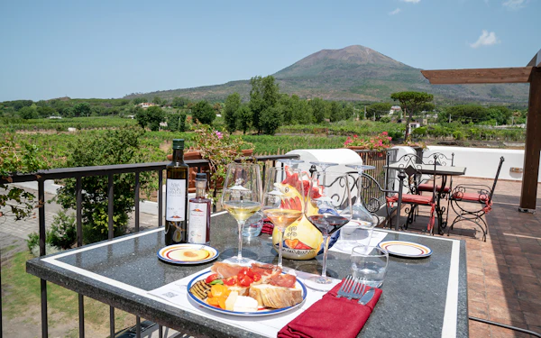 From Naples: Wine Tasting & Lunch on the Slopes of Vesuvius
