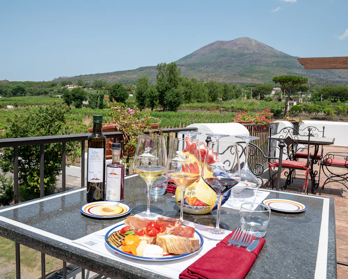 From Naples: Wine Tasting & Lunch on the Slopes of Vesuvius (Product 19261)