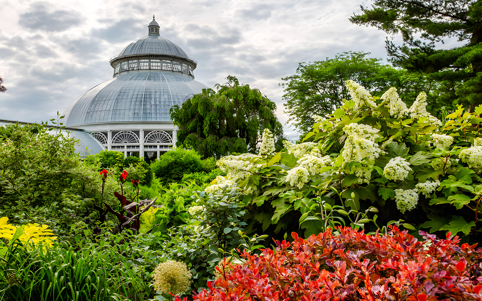 Dome of the conservatory behind lush greenery on the main path of the Perennial Garden, NYBG.