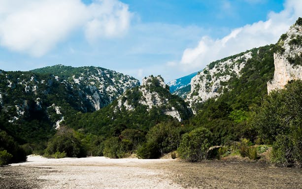 Pathway through lush green mountains on the trek to Cala Luna, Sardinia.