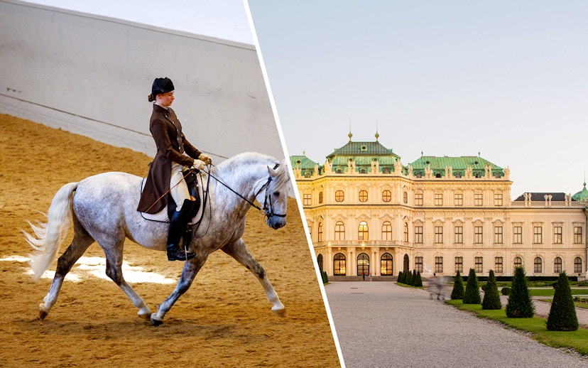 Vienna Spanish Riding School performance and Upper Belvedere Palace exterior.
