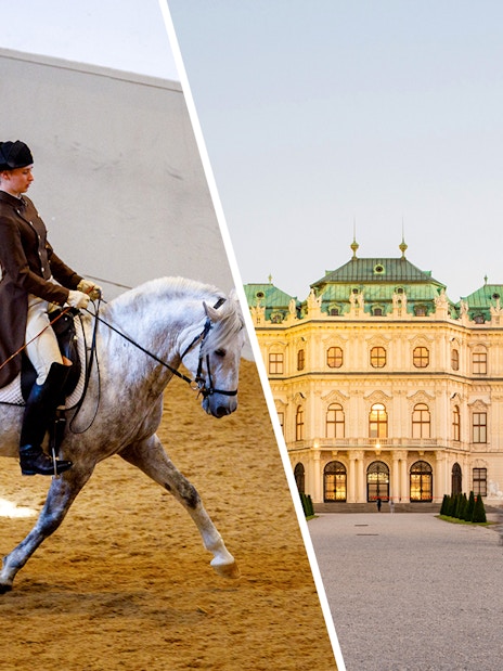 Vienna Spanish Riding School performance and Upper Belvedere Palace exterior.