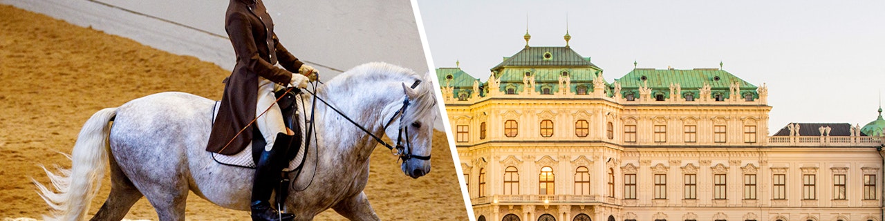 Biglietti combo: allenamento e spettacolo della Scuola di equitazione spagnola a Vienna con accompagnamento musicale + Ingresso al castello del Belvedere Superiore