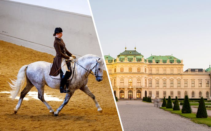 Vienna Spanish Riding School performance and Upper Belvedere Palace exterior.