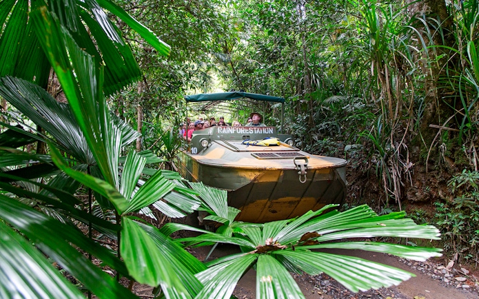 Army Duck navigating through Kuranda rainforest, Cairns.
