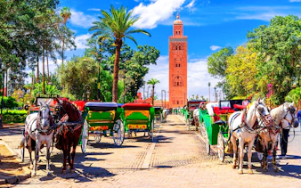 guidet vandretur i marrakech: saadier-gravene, bahia-palasset og basarene i medinaen-4