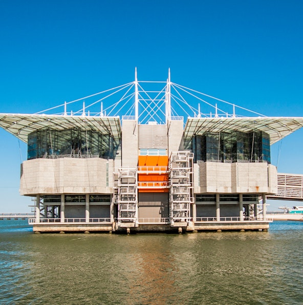 Learn about the depths of the sea in Lisboa at the Oceanario Lisboa