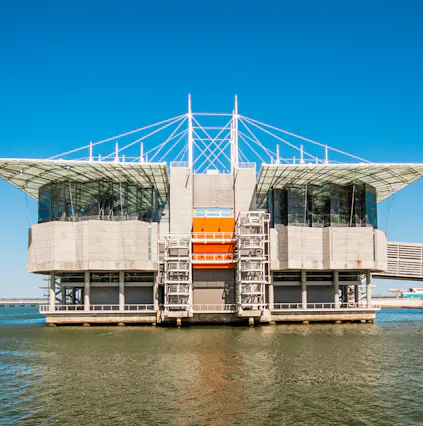 Learn about the depths of the sea in Lisboa at the Oceanario Lisboa