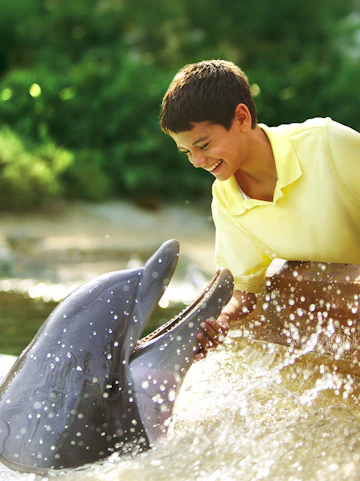 Boy interacting with a dolphin at SeaWorld San Antonio, Texas.