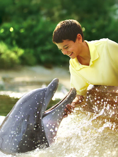 Boy interacting with a dolphin at SeaWorld San Antonio, Texas.