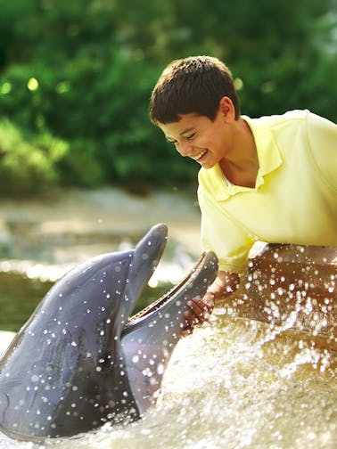 SeaWorld San Antonio