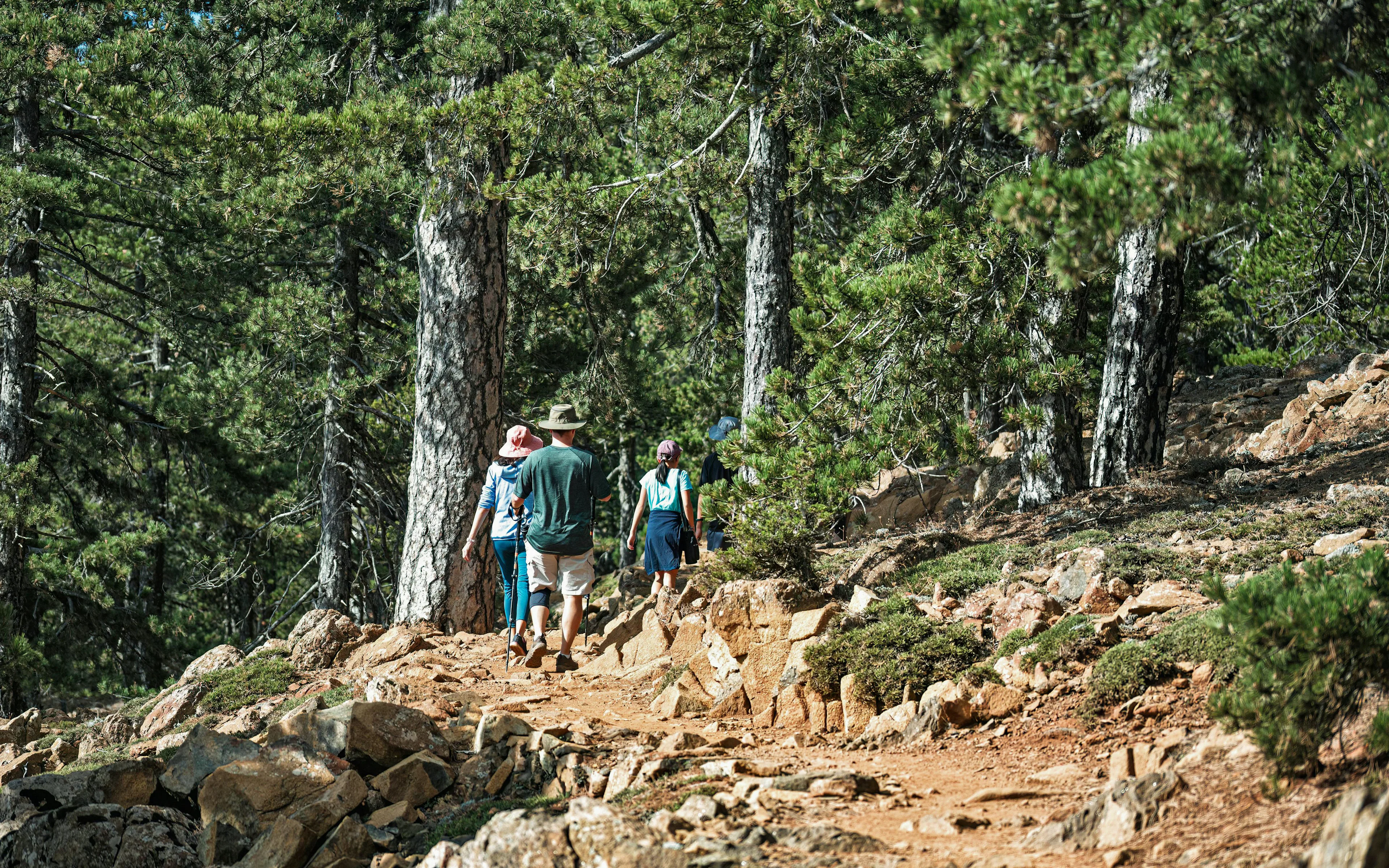 people walking up the trail
