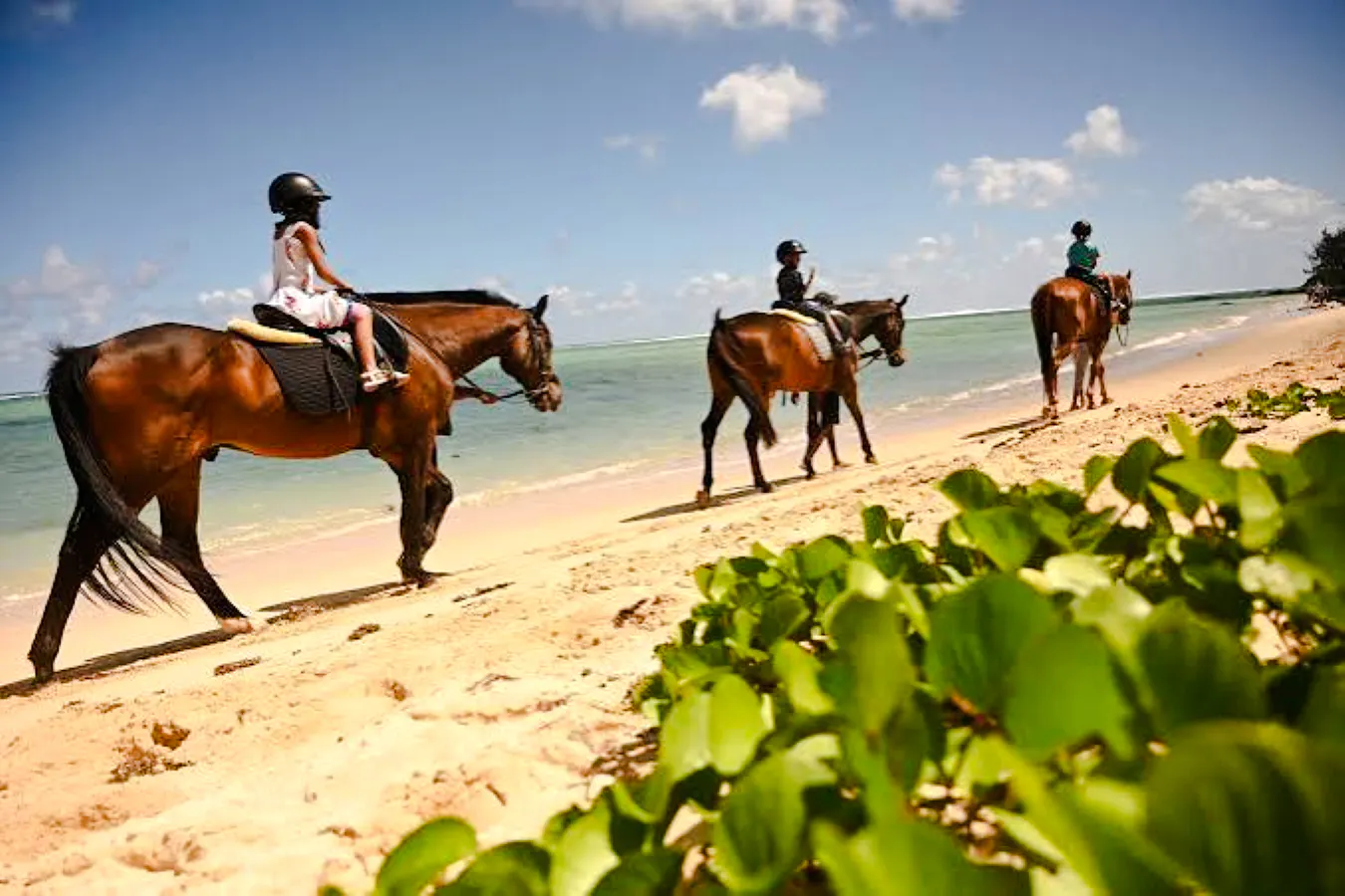 Private South-West Mauritius Tour with Bel Ombre Beach Horseback Ride and Lunch Image 12