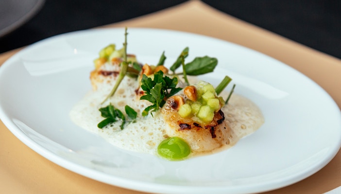 Lost Chambers Aquarium