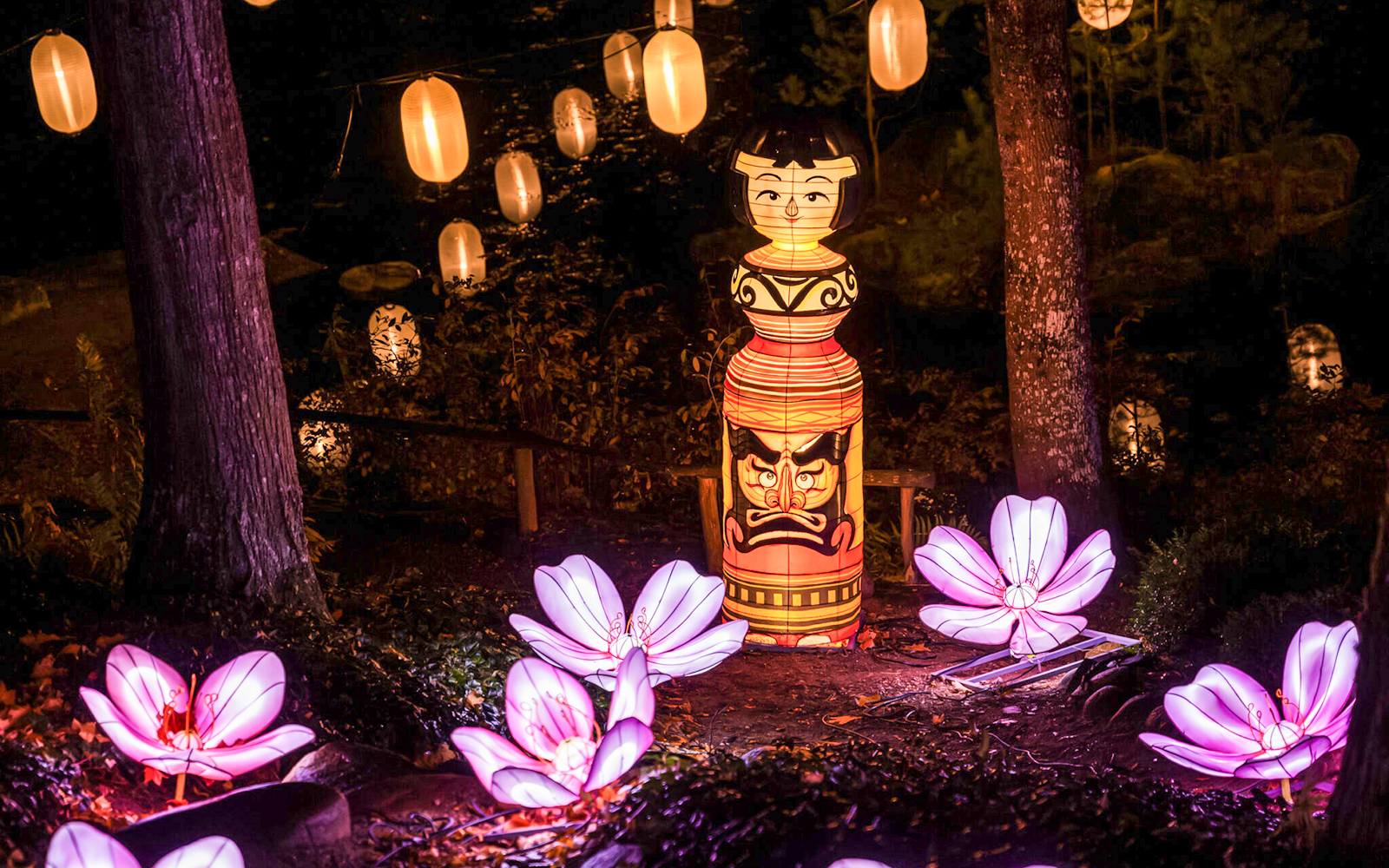 Lanterns and illuminated flowers at Lumina Park Wonderworld installation.