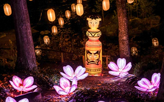 Lanterns and illuminated flowers at Lumina Park Wonderworld installation.