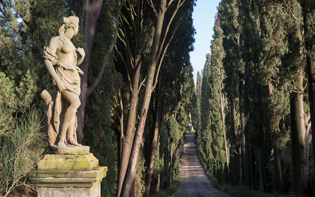 Statue along a cypress-lined road in Chianti, Italy, part of a wine tour from Florence.