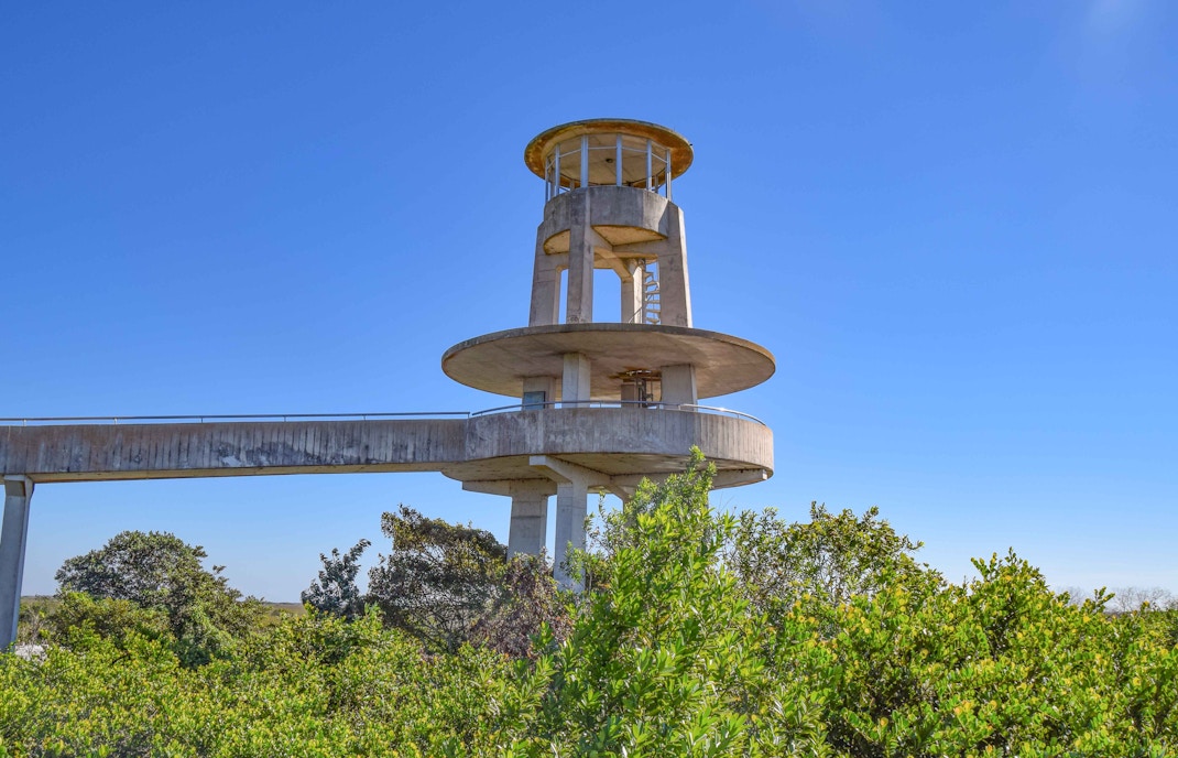 Shark Valley Observation Tower in Everglades National Park, Florida, with panoramic views of wetlands.