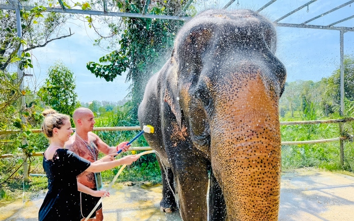 Couple showering an elephant at Phuket Elephant Care, Thailand.