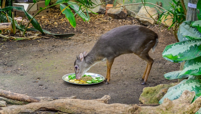 Things to do in Gold Coast