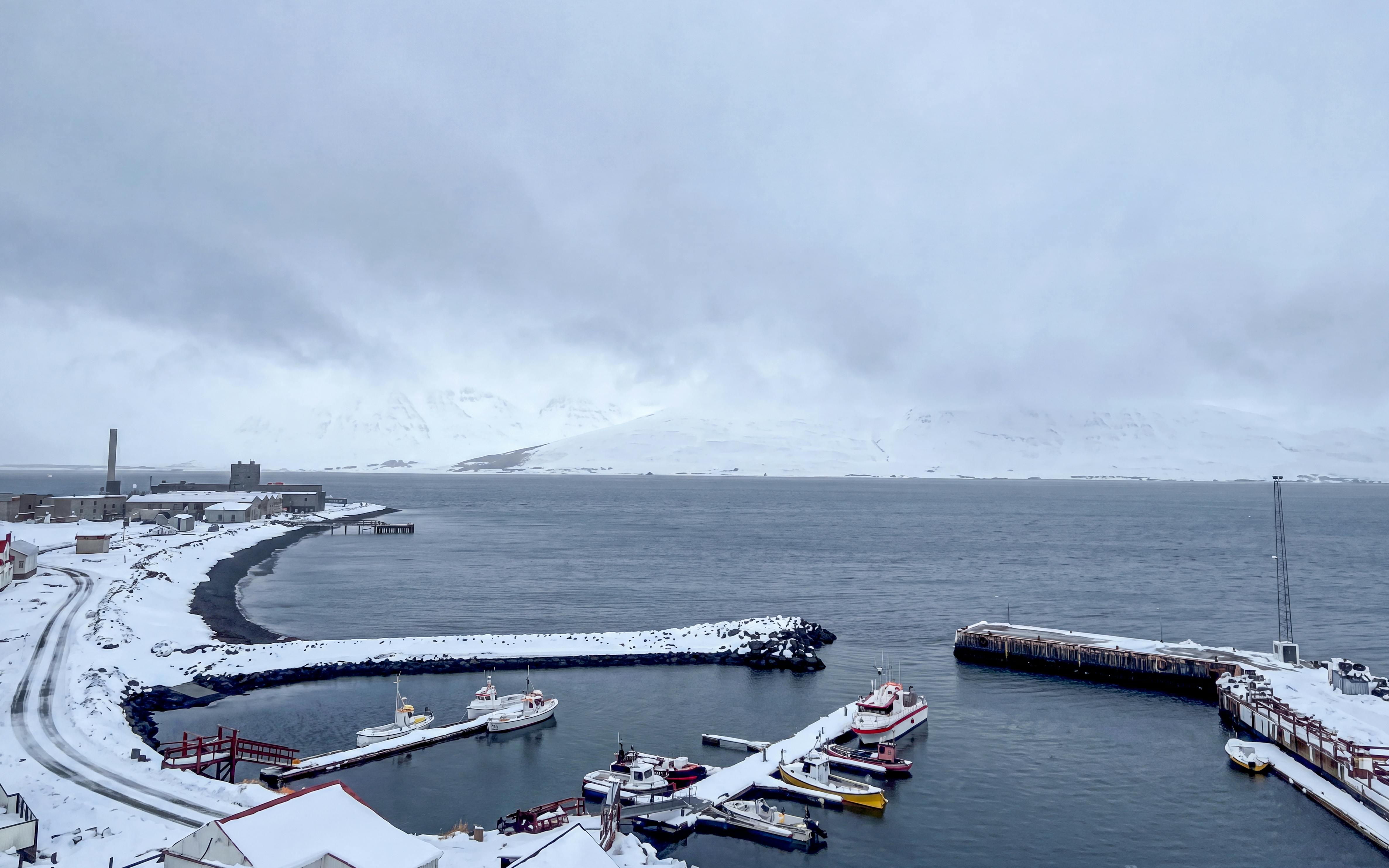 Whale watching boats docked in snowy Akureyri harbor, Iceland.