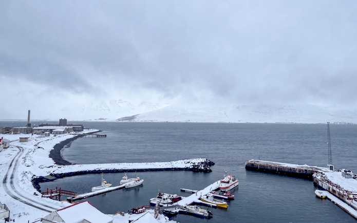 Whale watching boats docked in snowy Akureyri harbor, Iceland.