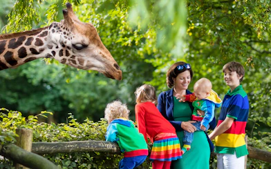Family observing a giraffe at San Diego Zoo during guided bus tour.