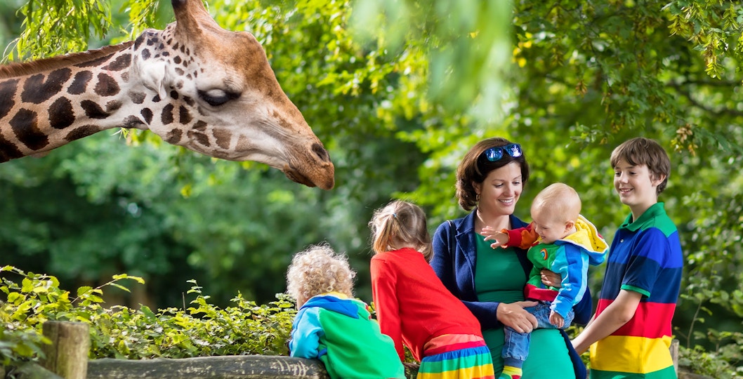 Family observing a giraffe at San Diego Zoo during guided bus tour.