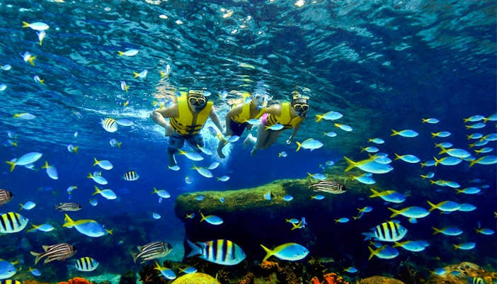 People snokeling at Rainbow Reef at Adventure Cove Waterpark