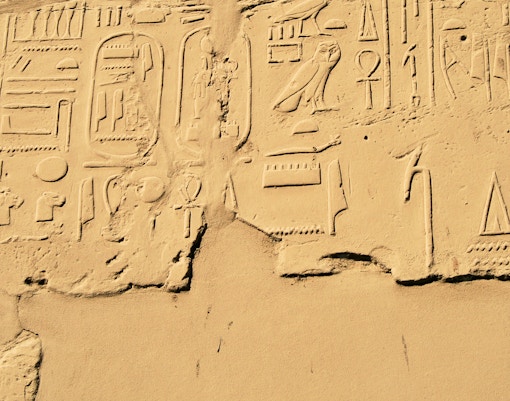 The Pharaoh's Revenge