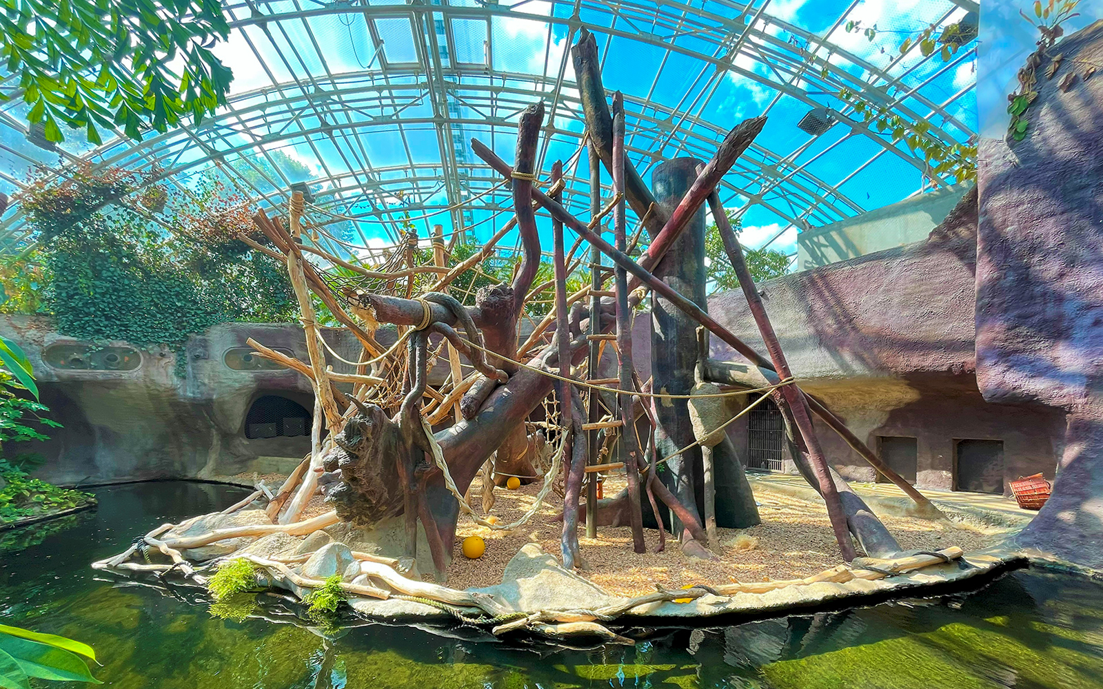 Prague Zoo indoor primate habitat with climbing structures and water feature.