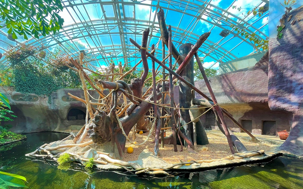 Prague Zoo indoor primate habitat with climbing structures and water feature.