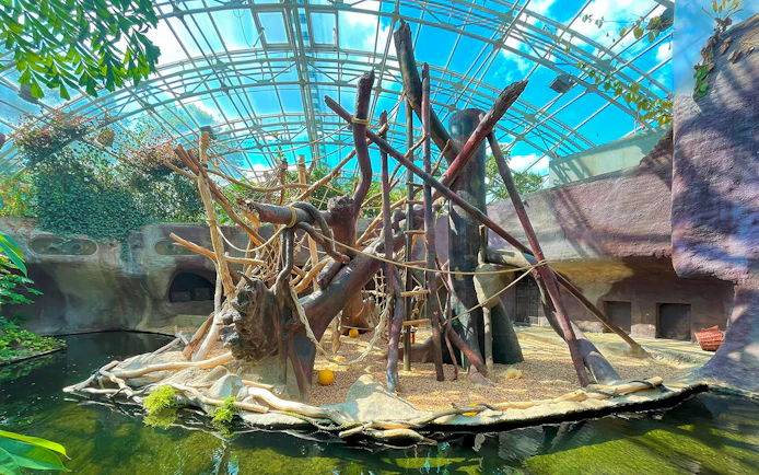 Prague Zoo indoor primate habitat with climbing structures and water feature.