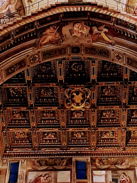 Ornate ceiling inside Pisa Cathedral on Field of Miracles tour.