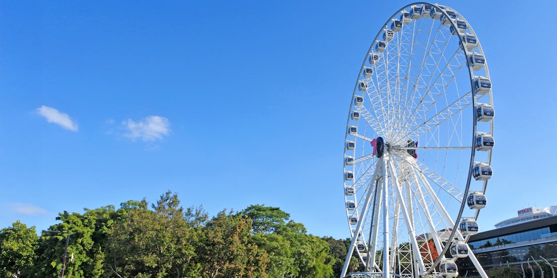 The Wheel of Brisbane