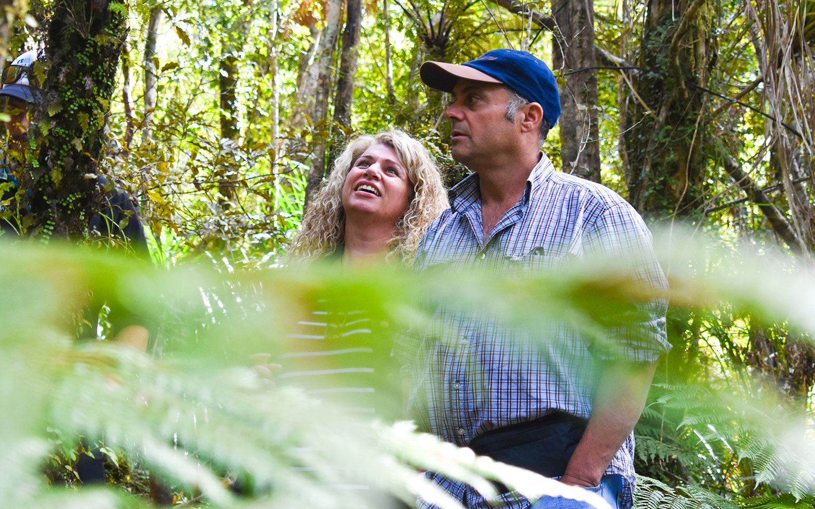 Tourists exploring lush rainforest at Franz Josef.