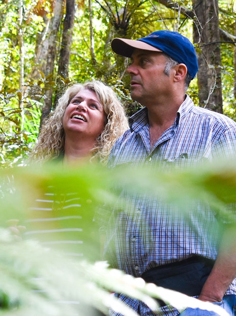 Tourists exploring lush rainforest at Franz Josef.