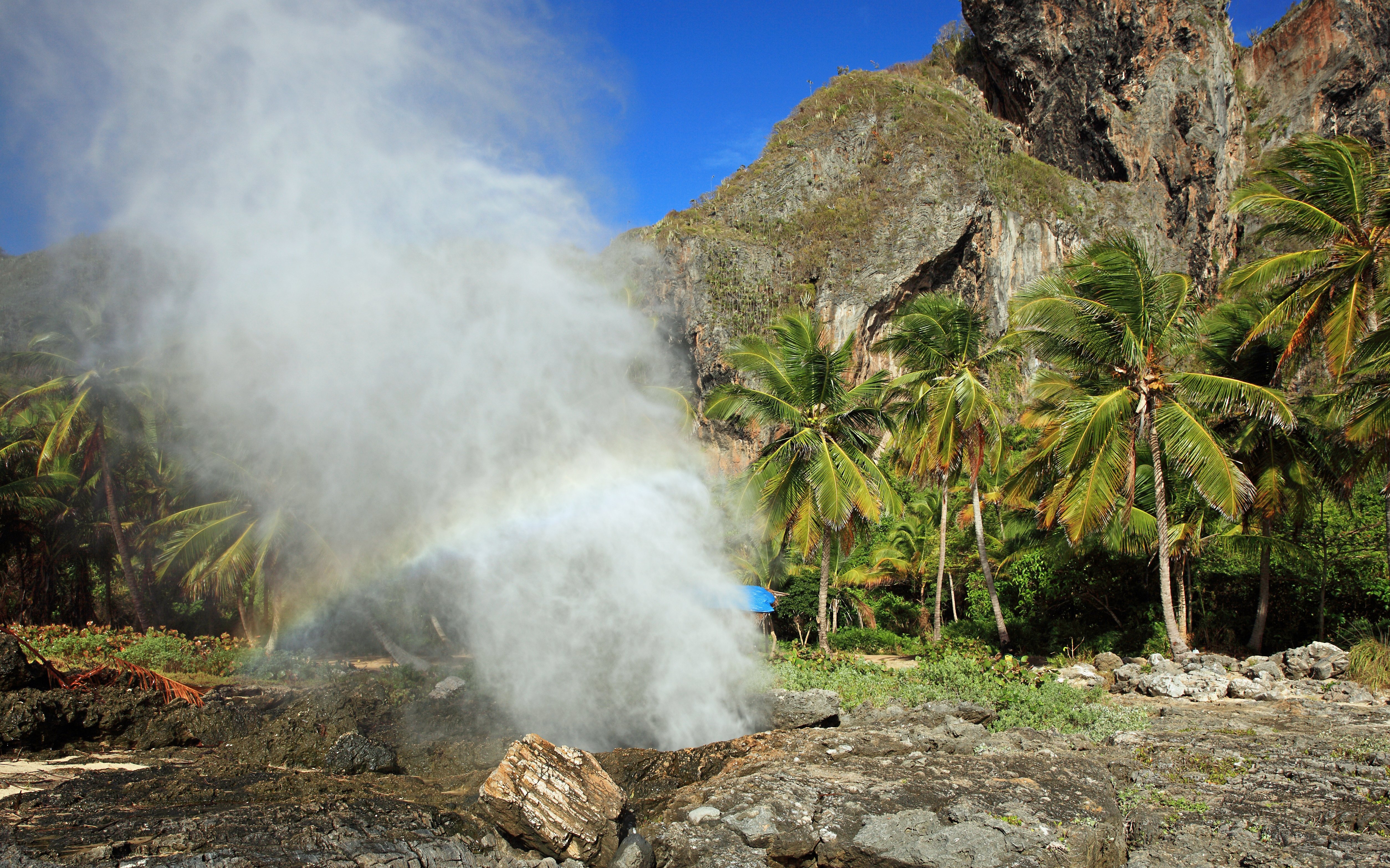 Blowhole spray at Boca del Diablo, Argentina, with palm trees and rocky cliffs in the background.