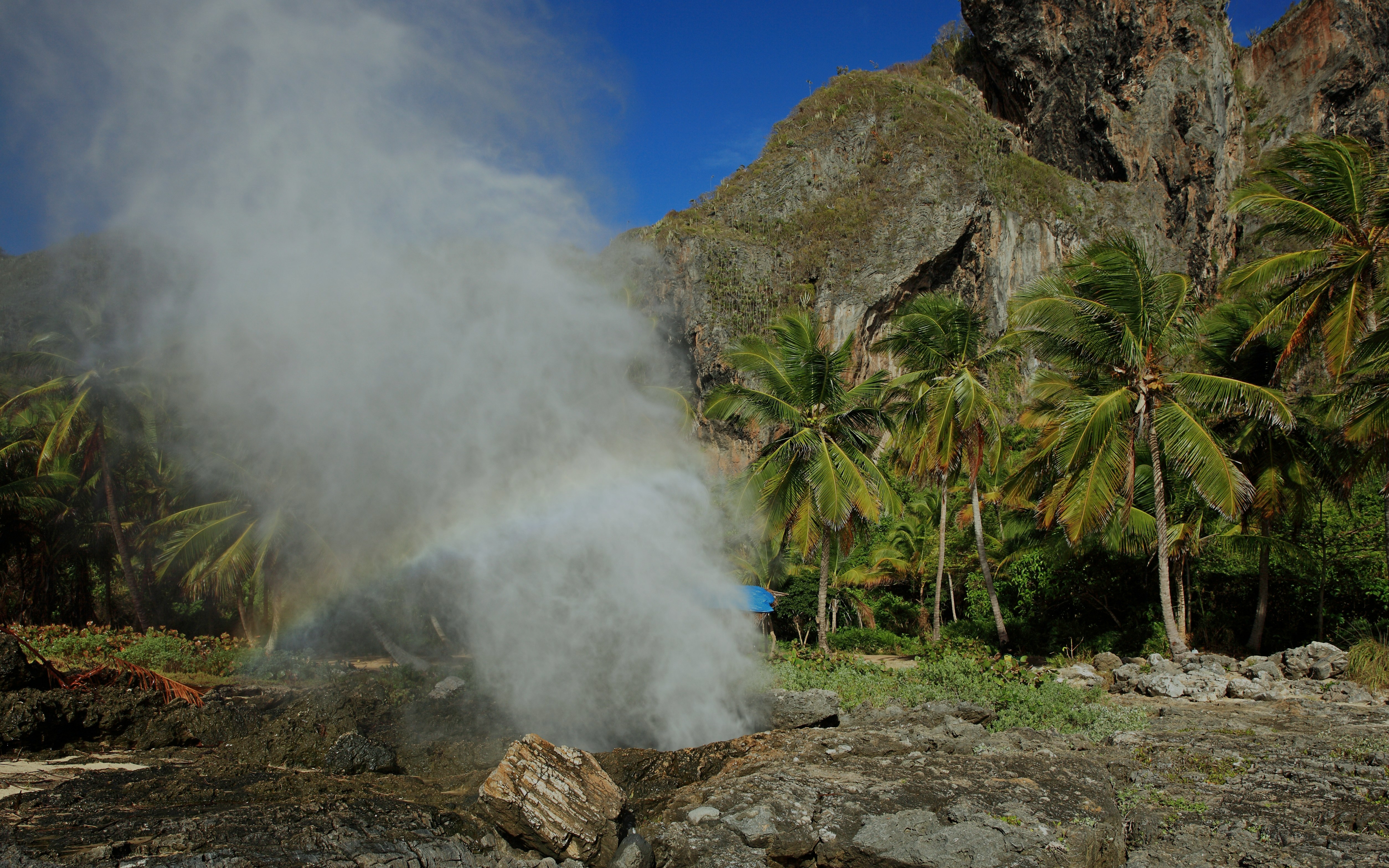 Blowhole spray at Boca del Diablo, Argentina, with palm trees and rocky cliffs in the background.