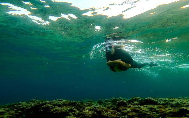 unterwasser-scooter schnorcheln - saint-jean-cap-ferrat-5