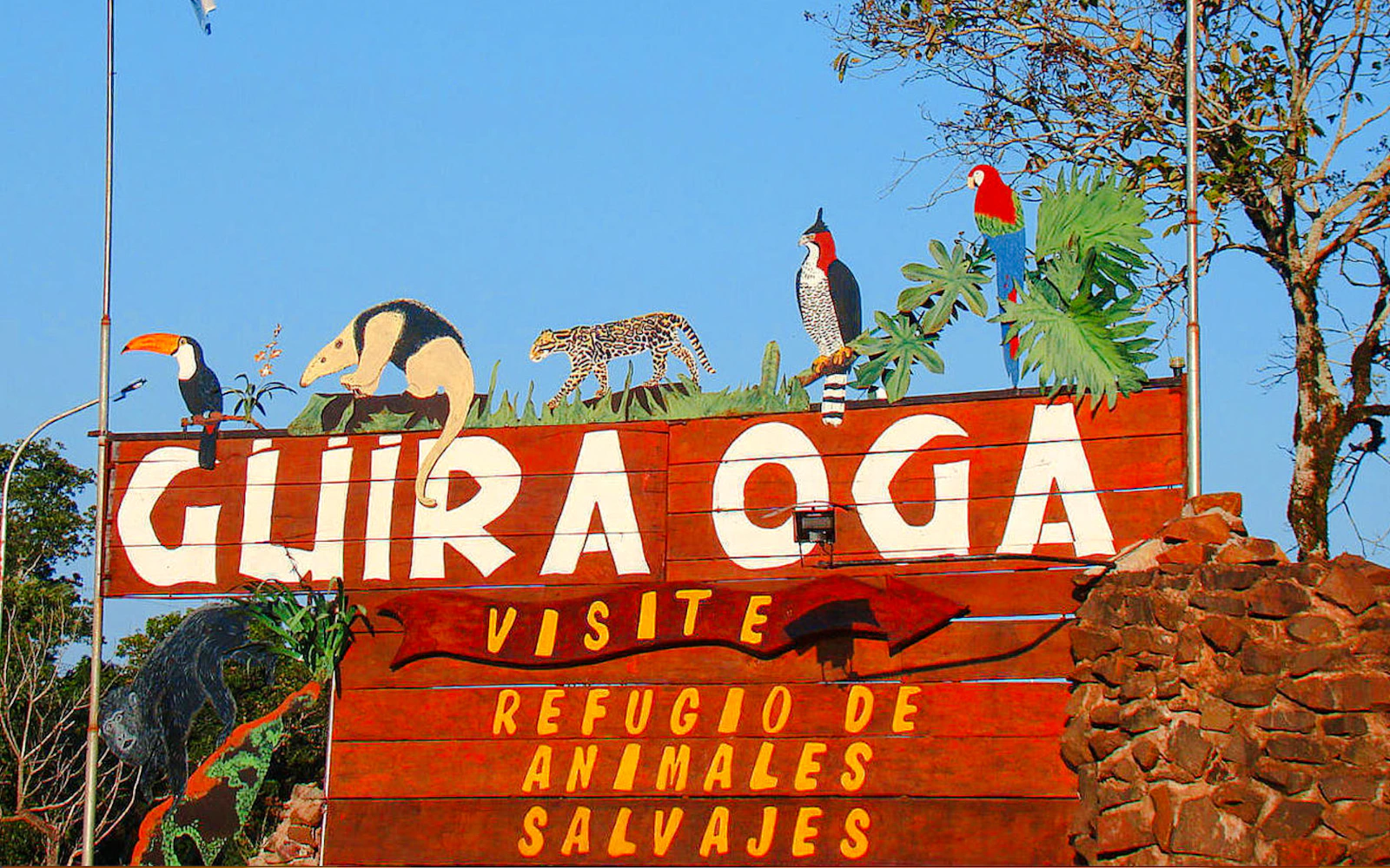 From Puerto Iguazú: Private Güirá Oga Wild Animals Shelter Day Trip Image 2