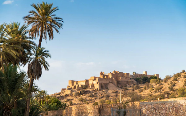 From Agadir: Taroudant & Tiout Oasis Full-Day Guided Tour with Lunch
