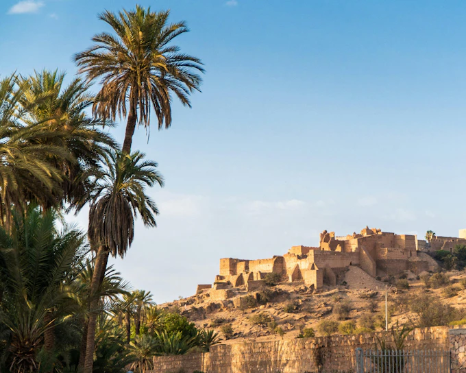 From Agadir: Taroudant & Tiout Oasis Full-Day Guided Tour with Lunch